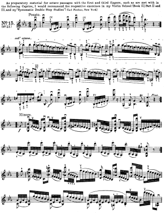 Caprice No. 23 in E-flat major Posato - Violin Sheet Music by Paganini