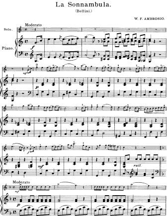 La Sonnambula (The Sleepwalker) - Violin Sheet Music by Bellini