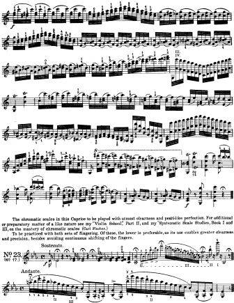 Caprice No. 17 in Eb major Sostenuto - Violin Sheet Music by Paganini