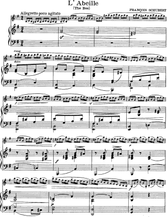 L'Abeille (The Bee) - Violin Sheet Music by Schubert